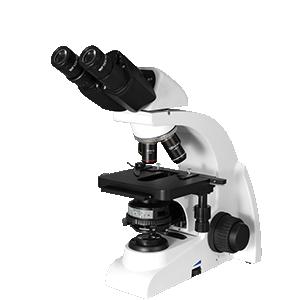 Biological Microscope